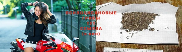 mdma Гусев