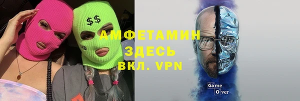 мдпв Гусь-Хрустальный