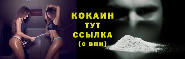 мдпв Гусь-Хрустальный
