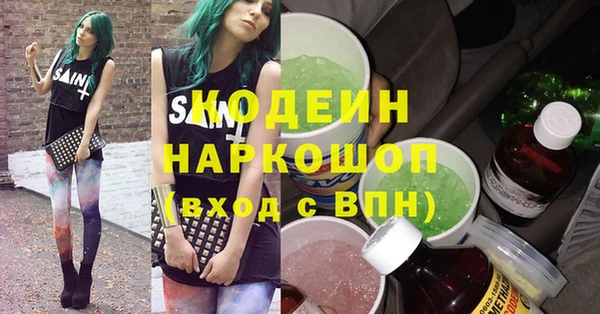 мдпв Гусь-Хрустальный