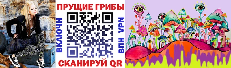Галлюциногенные грибы GOLDEN TEACHER  Купить  Искитим 